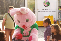 Un lapin (Duracell) de 40 ans