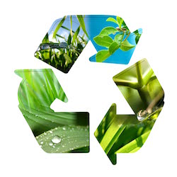 C'est la journée mondiale du recyclage !