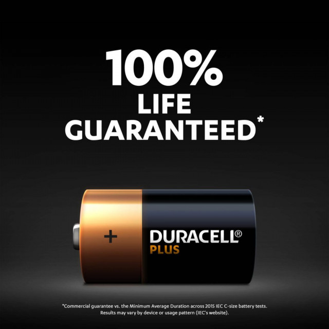 4 Piles C LR14 Alcalines 1.5V Duracell Plus