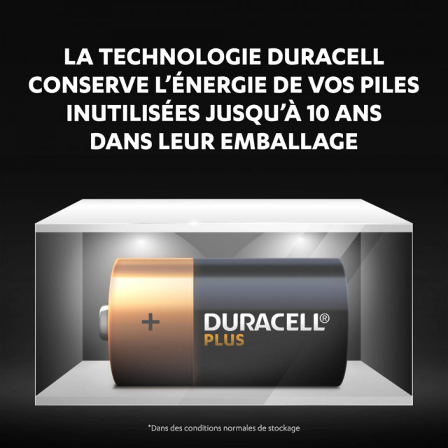 4 Piles C LR14 Alcalines 1.5V Duracell Plus