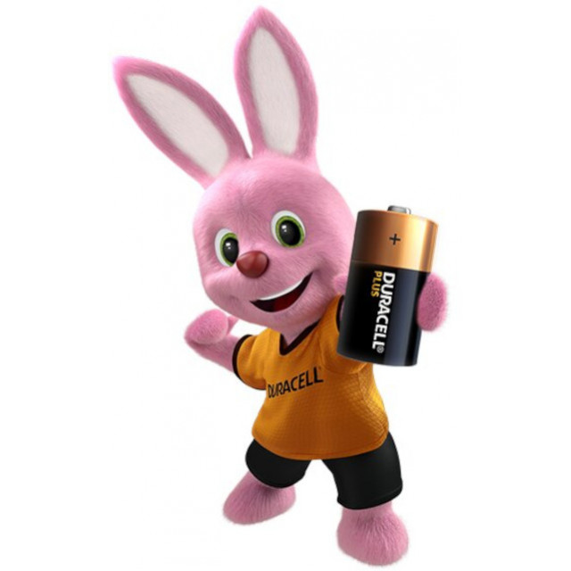 4 Piles C LR14 Alcalines 1.5V Duracell Plus
