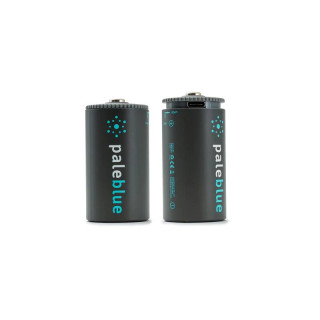 2 Piles Rechargeables USB LR20 D 1.5V 7400mAh PALE BLUE